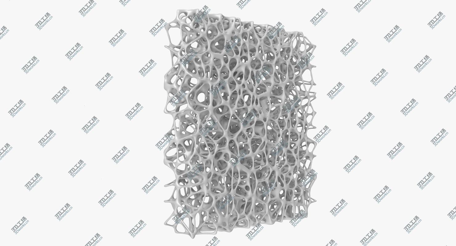 images/goods_img/2021040231/Bone Matrix Rectangle 3D model/5.jpg